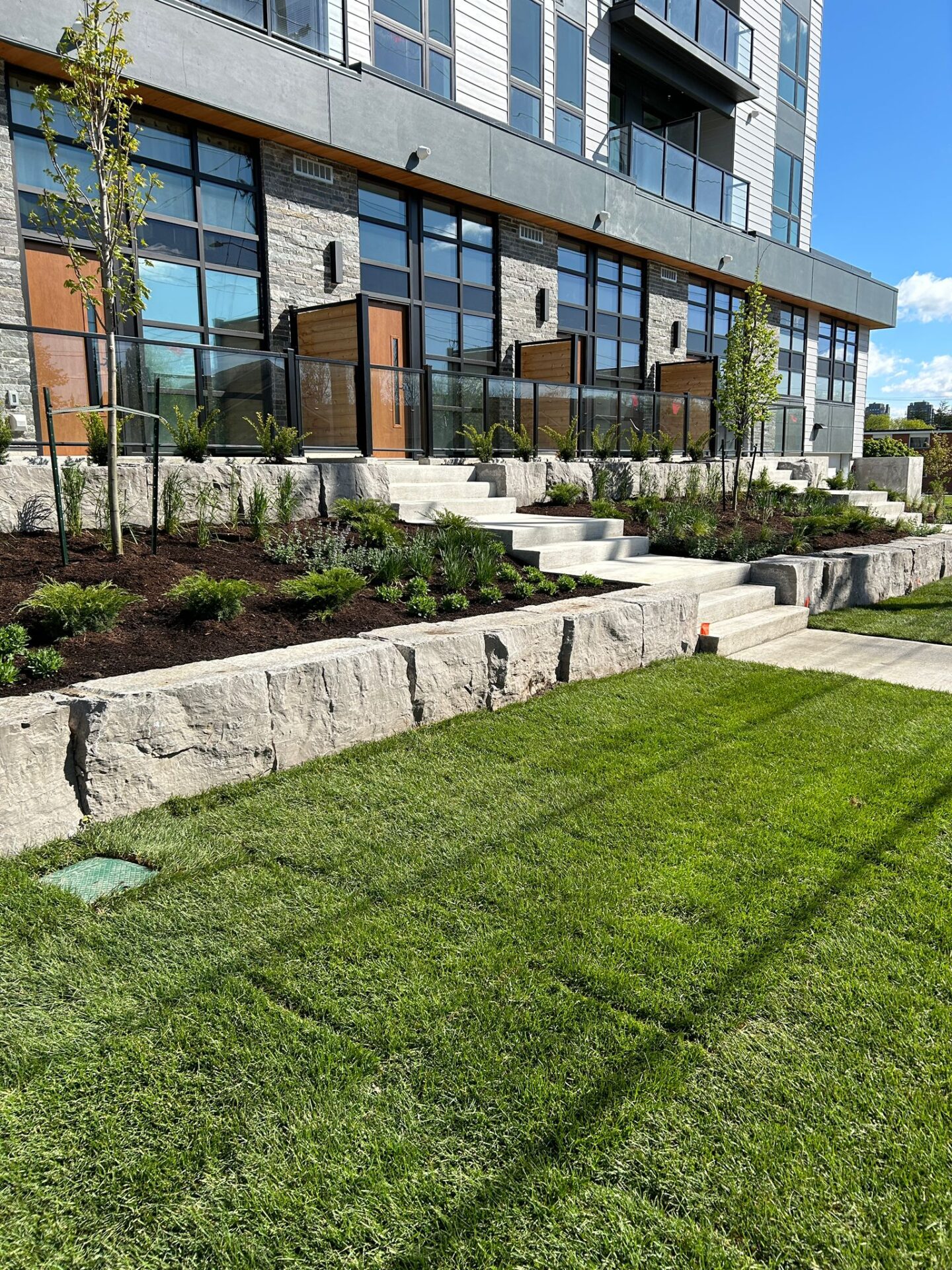 Modern building exterior with large glass windows, landscaped garden, stone steps, and green lawn. Newly planted trees and shrubs enhance the scene.