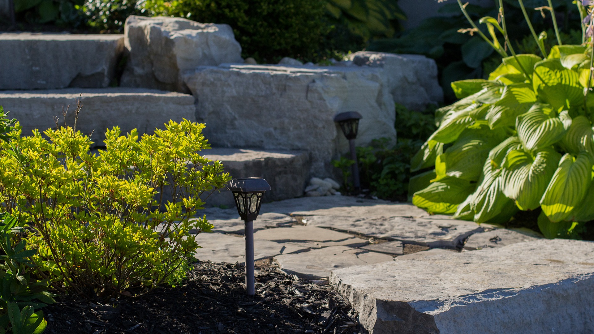 A garden scene with stone steps, green plants, and pathway lights under bright sunlight, creating a peaceful outdoor ambiance.