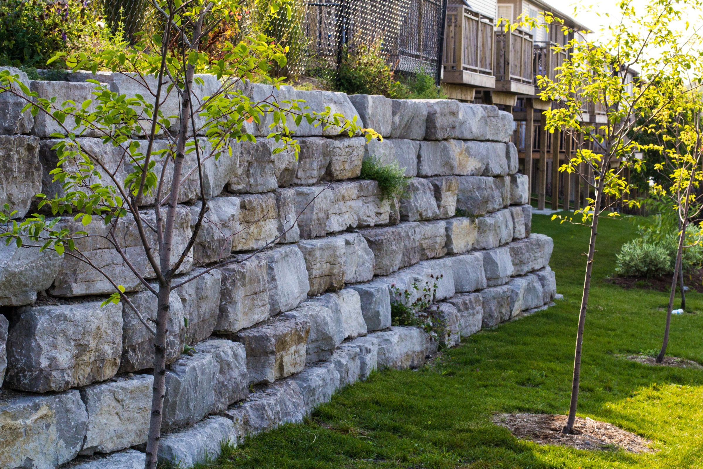 Stone retaining wall with young trees along a grassy garden. Wooden fence and elevated structures in the background add structure to the landscape.