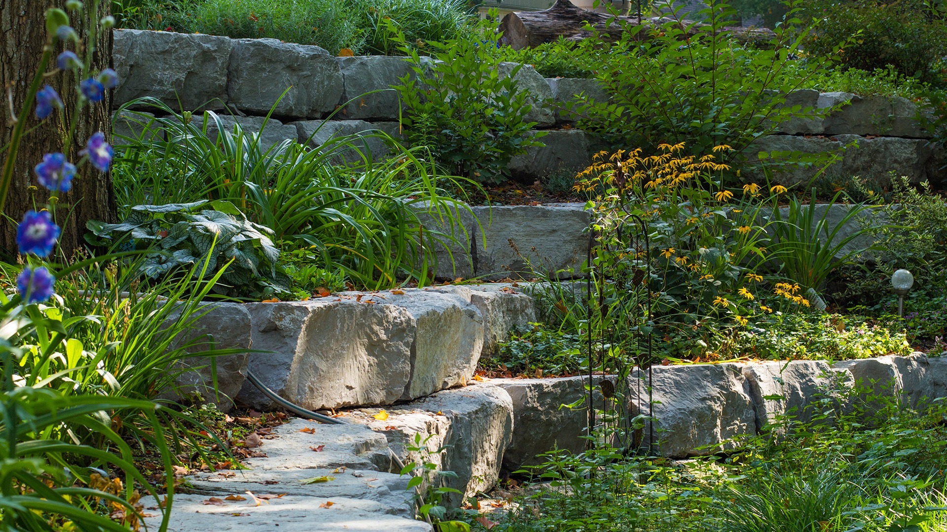 A lush garden features stone steps, vibrant flowers, and dense greenery, creating a serene, natural landscape. Sunlight filters through the leaves.