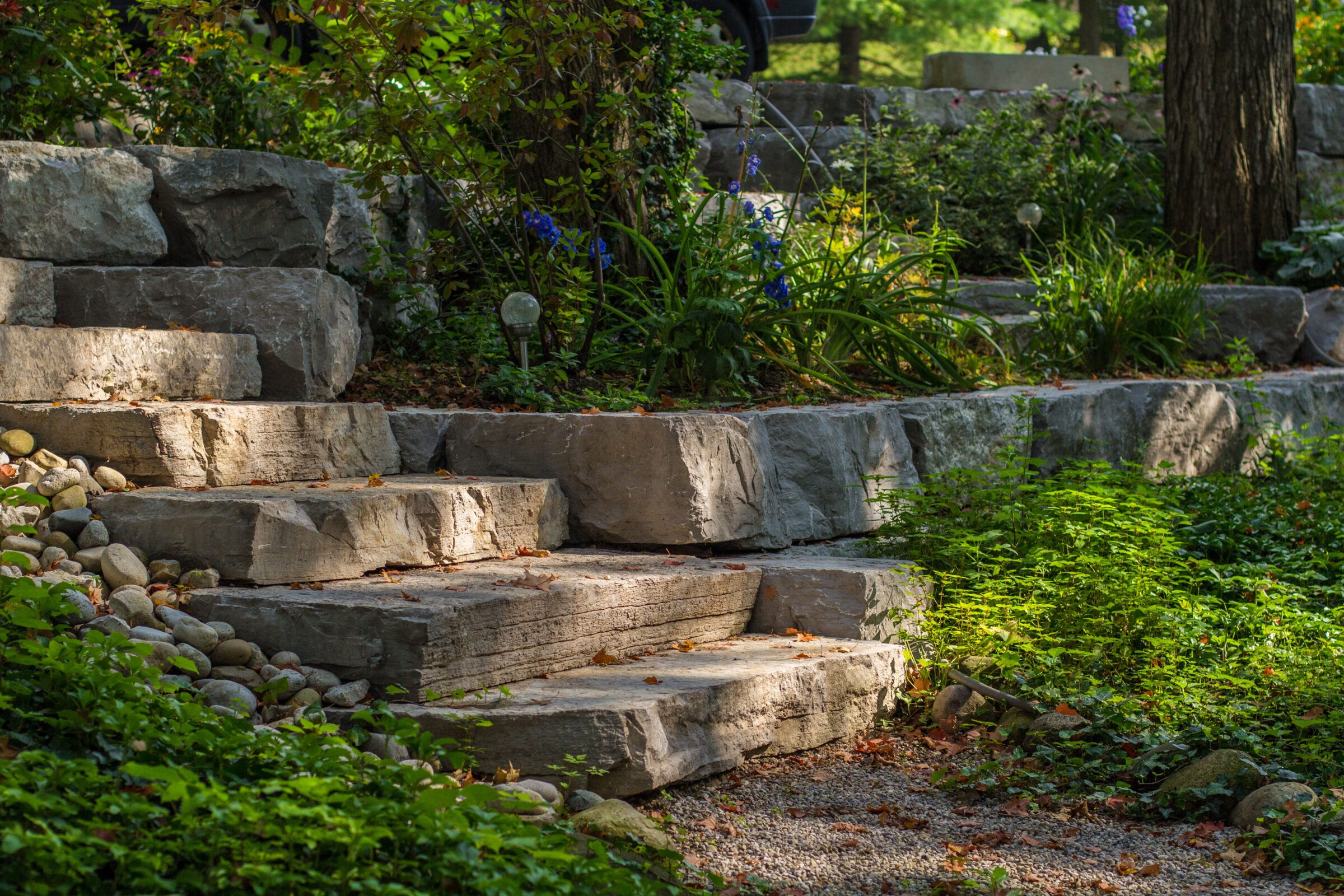 Stone steps surrounded by lush greenery and flowering plants, with dappled sunlight creating a peaceful, natural garden atmosphere. No recognizable landmarks visible.
